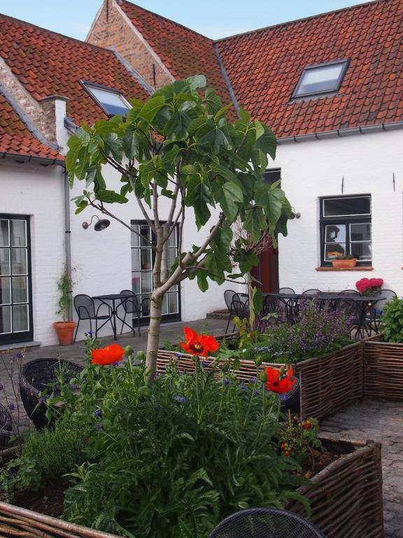 Hotel Het Oud Gemeentehuis Damme Dış mekan fotoğraf